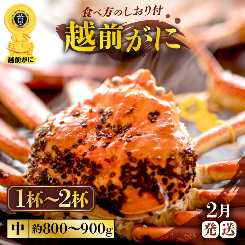 ڤդ뤵Ǽǡۢ觤Ǣ 極 1800g900g˿ٱʬ դ ٤տ12աۡͺ ...