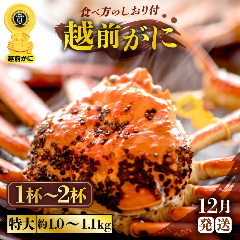 ڤդ뤵Ǽǡۢ觤Ǣ 祵 11.01.1kg˿ٱʬ դ ٤տ12աۡͺ...