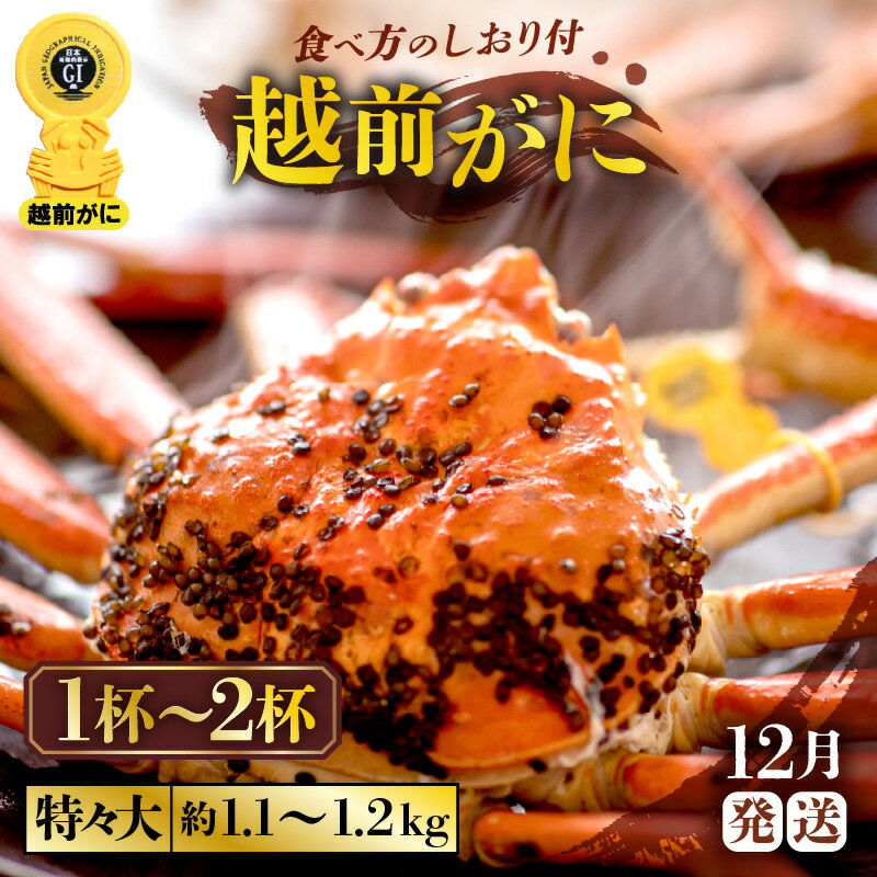 ڤդ뤵Ǽǡۢ觤Ǣ á祵 11.11.2kg˿ٱʬ դ ٤տ12աۡ...