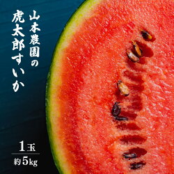 【ふるさと納税】【先行予約】甘味が強い 虎太郎すいか 約5kg 1玉 数量限定 産地直送【果物 フルーツ スイカ】【2023年7月下旬より順次発送】 [e58-a001]･･･ 画像1