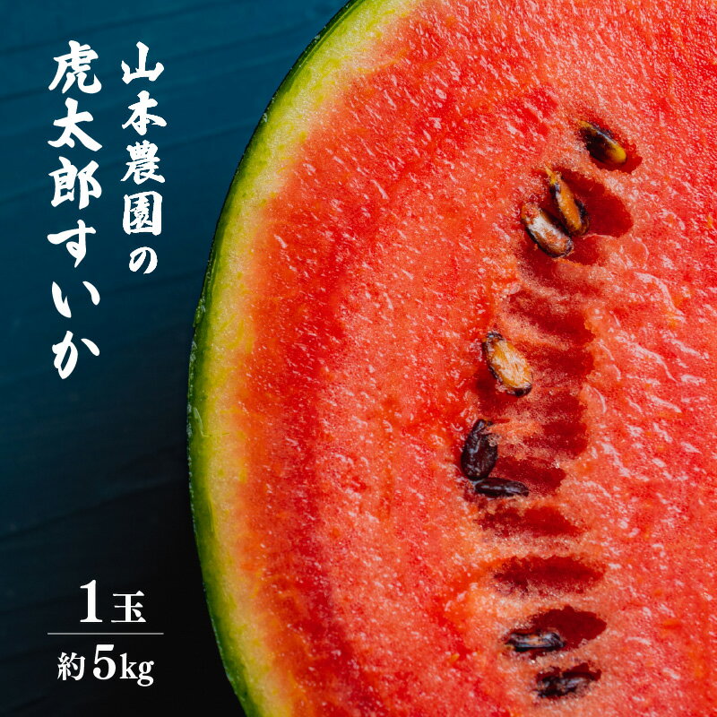 【ふるさと納税】【先行予約】甘味が強い 虎太郎すいか 約5kg 1玉 数量限定 産地直送【果物 フルーツ ...