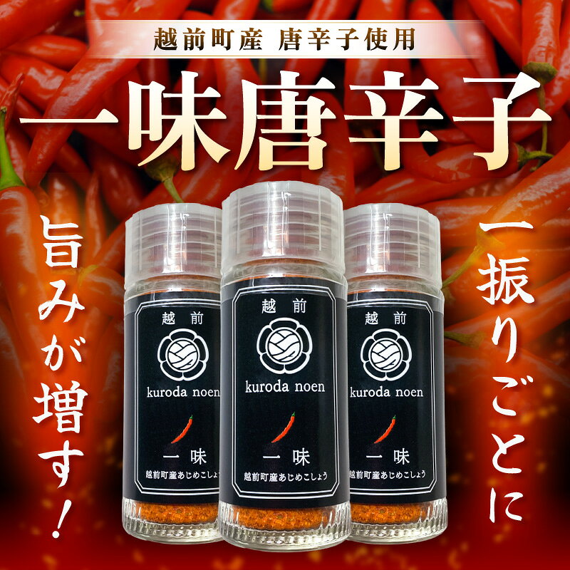 【ふるさと納税】 お試しセット！ 農園直送 国産 一味唐辛子15g、青唐辛子味噌140g 各1個 旨辛 おかず味噌 調味料 辛い 焼肉 おにぎり 野菜 調理 便利 ごはんのおとも カレー うどん バーベキュー 常温 やみつき 買い回り f184233-echizen-10001031 福井県越前町 サンプル画像2