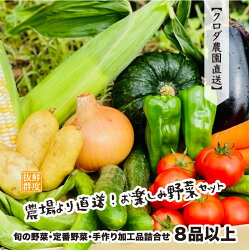 【ふるさと納税】期間限定 鮮度抜群 農場より直送！お楽しみ 野菜 セット 旬の野菜・定番野菜・手作り 加工品詰合せ 8品以上 【ごちそう やさい 国産 産地直送 バーべキュー 味噌 調味料】･･･ 画像1