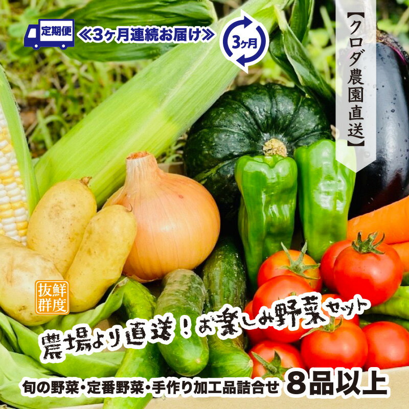 16位! 口コミ数「0件」評価「0」【先行予約】定期便 ≪3ヶ月連続お届け≫ 鮮度抜群 農場より直送！お楽しみ野菜セット 旬の野菜・定番野菜・手作り加工品詰合せ8品以上 × 3･･･ 