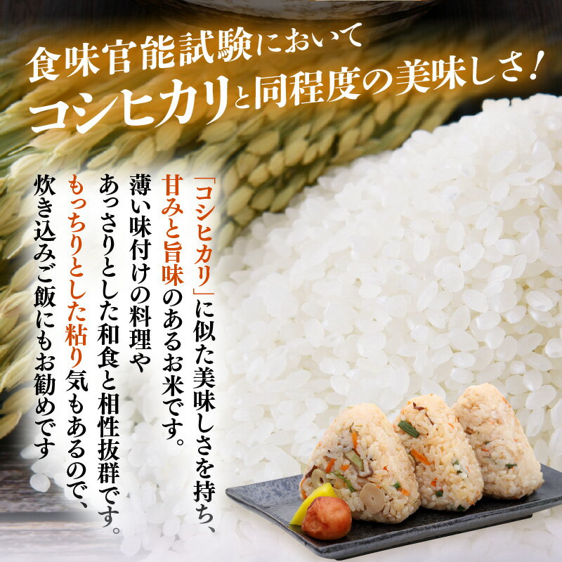 【福井県越前町】送料無料！味 ・粘り・見た目、人気品種「あきさかり米」。自社精米により新鮮なお米をお届けいたします。　【ふるさと納税】令和7年産 米 5kg 精米 あきさかり 福井県産《14日以内に出荷予定》【白米 5キロ アキサカリ お米 ごはん 人気品種 産地直送 新生活 kome】