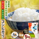 【ふるさと納税】【期間限定】<真空包装> 令和6年産 米 5kg 精米 減農薬減化学肥料栽培 コシヒカリ 福井県産米《14日以内に出荷予定》【白米 5キロ こし...