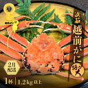 【ふるさと納税】≪浜茹で≫越前がに 特々大サイズ 1杯(生で1.2kg以上)【雄 ズワイガニ かに カニ 蟹 越前ガニ 姿 ボイル 冷蔵 福井県】【2月発送分】...