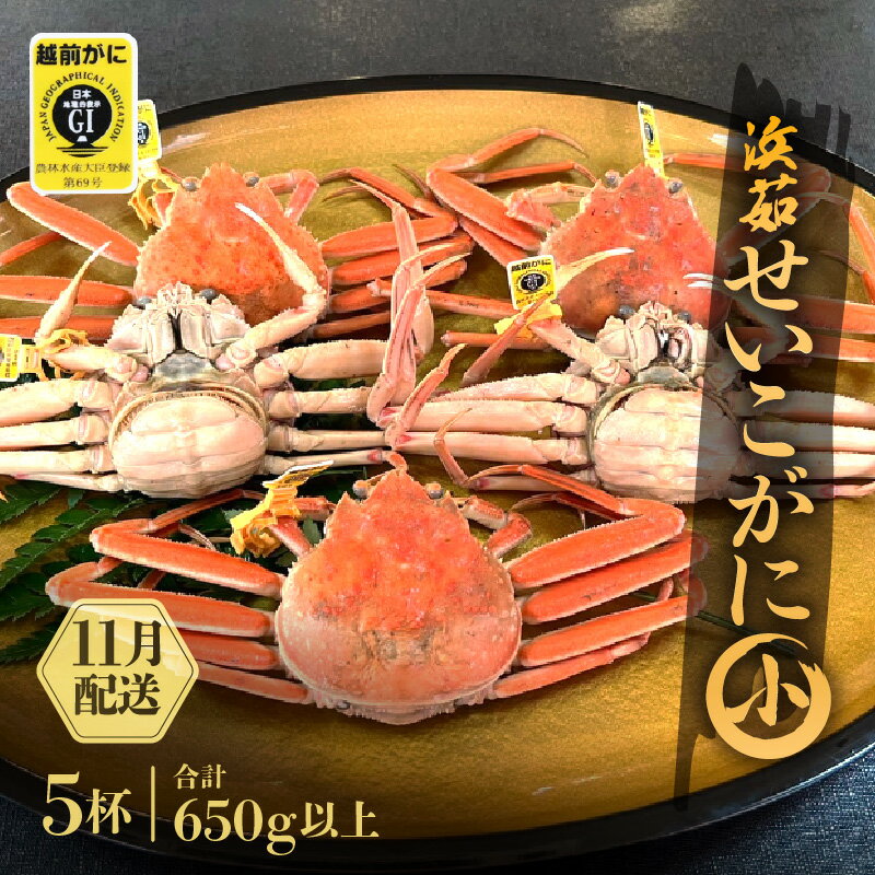 ≪浜茹で≫越前せいこガニ 小サイズ 5杯(越前がにタグ付き)[雌 ズワイガニ カニ 越前ガニ セコガニ カニみそ][11月発送分]希望日指定可 備考欄に希望日をご記入ください [e68-x005_11]