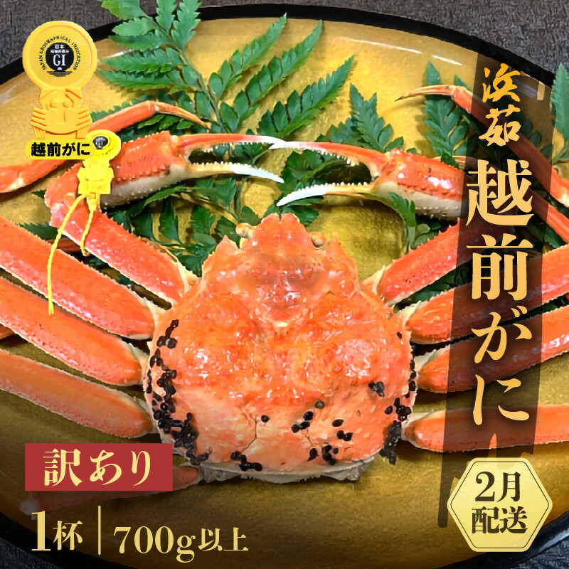 【ふるさと納税】【訳あり】≪浜茹で≫越前がに 1杯(生で700g前後)【雄 ズワイガニ かに カニ 蟹 越前ガニ 姿 ボイル 冷蔵 福井県】【2月発送分】希望日...