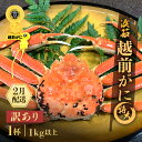 【ふるさと納税】【訳あり】≪浜茹で≫越前がに 特大サイズ 1杯(生で1kg以上)【雄 ズワイガニ かに カニ 蟹 越前ガニ 姿 ボイル 冷蔵 福井県】【2月発送...