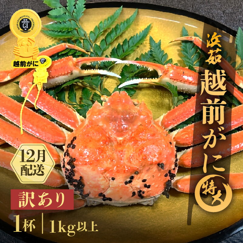 【ふるさと納税】【訳あり】≪浜茹で≫越前がに 特大サイズ 1杯（生で1kg以上）【雄 ズワイガニ かに カニ 蟹 越前ガニ 姿 ボイル 冷蔵 福井県】【12月発送分】希望日指定可 備考欄に希望日をご記入ください [e68-x007_12]