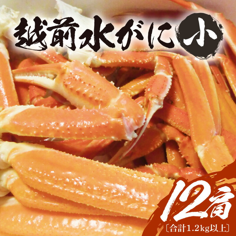 【ふるさと納税】【期間限定】浜ゆで 越前産水がに小サイズ 12肩（足のみ2肩あたり200～300g） 合計1.2kg以上 産地直送 食べやすい【雄 ズワイガニ 越前ガニ 足のみ ボイル 冷蔵 かに カニ 蟹 福井県】希望日指定可 備考欄にメールアドレスをご記入ください [e68-x008]