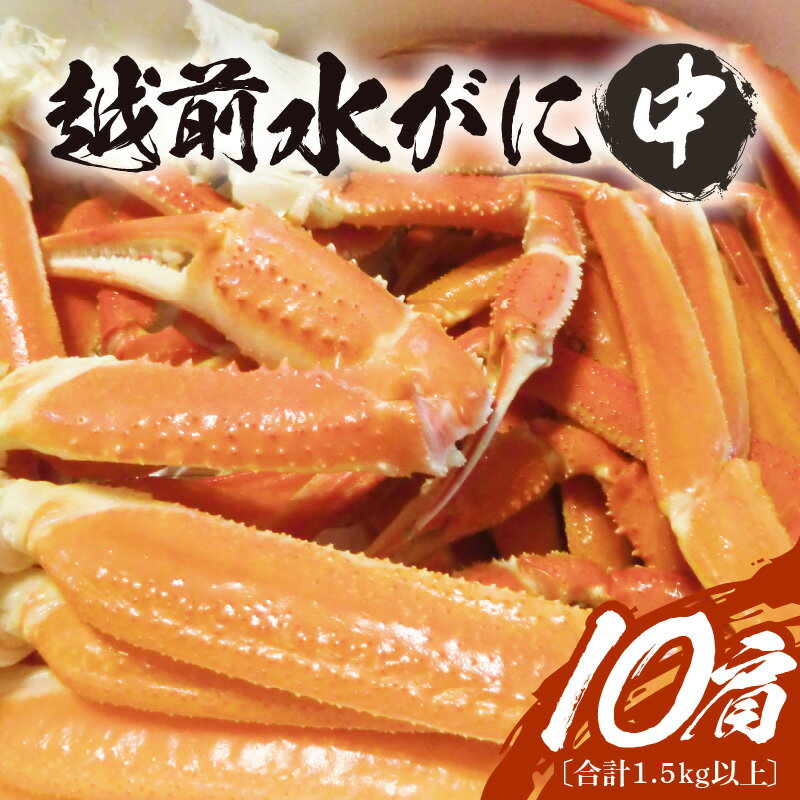【ふるさと納税】【期間限定】浜ゆで 越前産水がに中サイズ 10肩（足のみ2肩あたり300～400g） 合計1.5kg以上 産地直送 食べやすい【雄 ズワイガニ 越前ガニ 足のみ ボイル 冷蔵 かに カニ 蟹 福井県】希望日指定可 備考欄にメールアドレスをご記入ください [e68-x009]