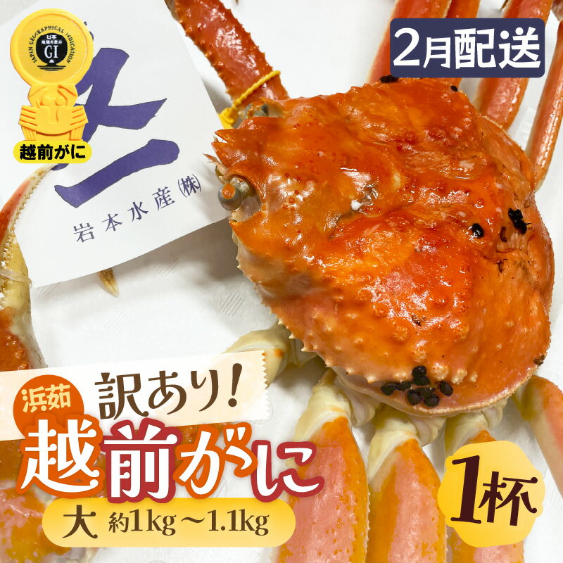 【ふるさと納税】【訳あり】≪浜茹で≫越前がに 大サイズ(生で約1kg〜1.1kg) × 1杯 越前蟹の印 タグ付きでお届け【足折れ 雄 ズワイガニ 越前ガニ 姿...