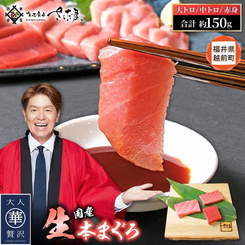 【ふるさと納税】生 本マグロ まぐろ三昧 おひとりさま ミニ セット 合計約150g「大トロ・中トロ・赤身」各約50g（計3柵）【本まぐろ マグロ まぐろ 大とろ 中とろ 冷蔵 お取り寄せ グルメ aj】 [e04-a122]