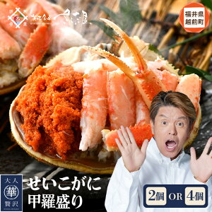 【ふるさと納税】 カニの本場からお届け!せいこがに 甲羅盛り 2杯/4杯「この道50年の職人が選ぶ!」海の宝石箱【かに カニ 蟹】【福井県 越前町 雌 ズワイガニ むき身 甲羅盛り 小分け 冷凍 aj】