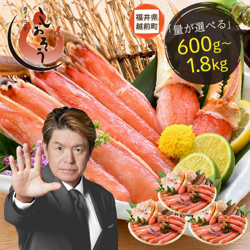 【ふるさと納税】【選べる発送月】 カット 済み 生ずわい蟹 【選べる内容量】約600g〜約1.8kg 【お手軽 生食可 蟹 ズワイ カニ ずわい かに 冷凍 aj】