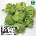 【ふるさと納税】食べたらやみつき!NOUMANN結球レタス(2kg)【配送不可地域：離島】 [m27-a005]