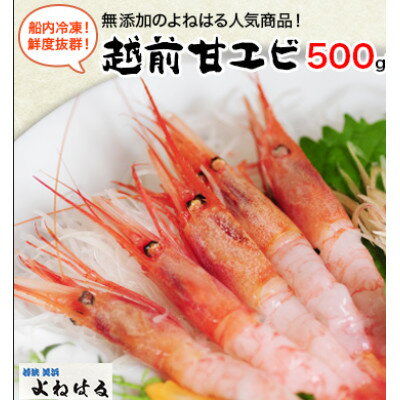 【ふるさと納税】大好評!越前甘エビ【中サイズ・卵なし】500g/1箱【1026319】