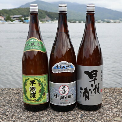 【ふるさと納税】【早瀬浦】すずみさけ1.8L(1本)と純米酒1.8L(1本)と本醸造1.8L(1本)のセット【1117341】