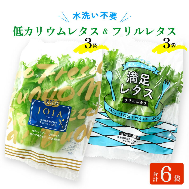 【福井県美浜町産】低カリウムレタス&フリルレタス6個セット【野菜 生野菜 レタス サラダ サンドイッチ お弁当 水耕栽培 洗わず食べられる 時短 付け合わせ ダイエット ヘルシー】 [m40-a004]