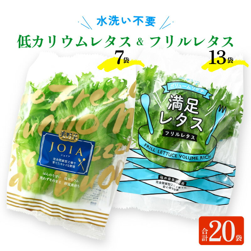 79位! 口コミ数「0件」評価「0」【福井県美浜町産】低カリウムレタス&フリルレタス20個セット【野菜 生野菜 レタス サラダ サンドイッチ お弁当 水耕栽培 洗わず食べられる･･･ 