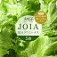 【ふるさと納税】低カリウムレタス 美野菜 「JOIA」 5袋 クリーンルーム栽培 無農薬 鮮度長持ち 【野菜..