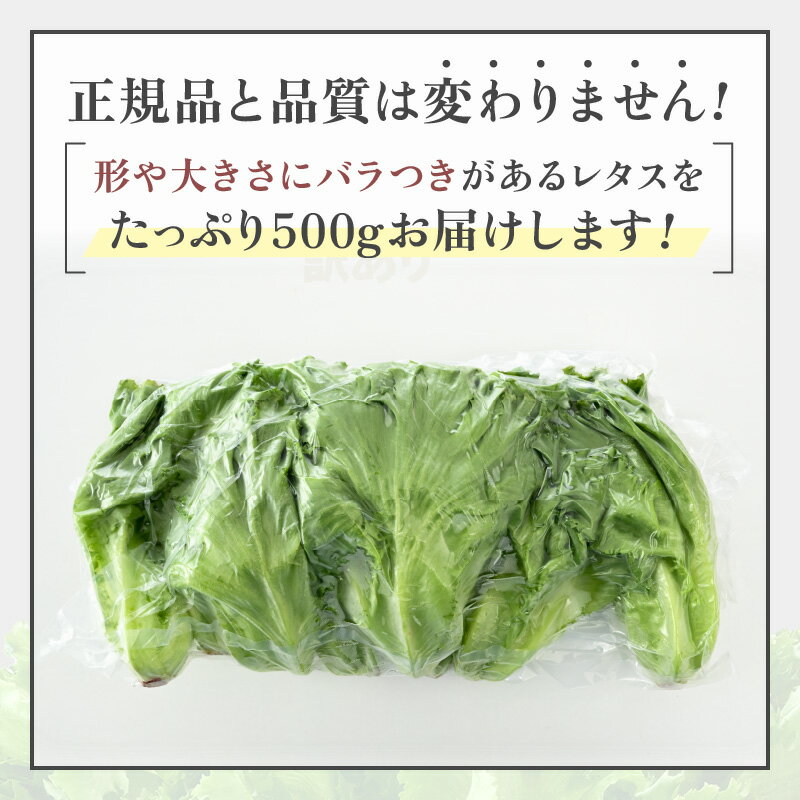 福井県美浜町の画像2