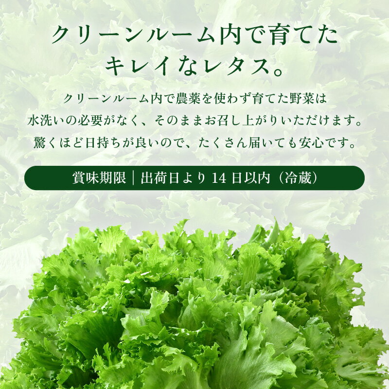 福井県美浜町の画像3