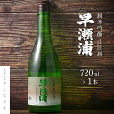 【ふるさと納税】【早瀬浦】純米吟醸 山田錦 720ml × 1本【日本酒 地酒 福井 美浜 早瀬 フルーティ 男酒 硬水 ミネラル 希少 ご褒美 家飲み】 [m16-a004]