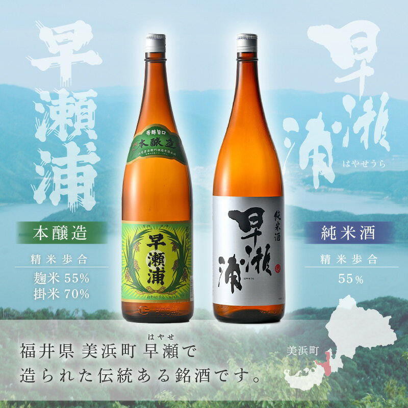 【ふるさと納税】【早瀬浦】本醸造 1800ml × 2本 ＆ 純米酒 1800ml × 2本 セット 【飲み比べ 日本酒 地酒 福井 美浜 早瀬 フルーティ 男酒 硬水 ミネラル 希少 ご褒美 家飲み】 [m16-c004]