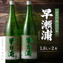 【ふるさと納税】【早瀬浦】純米吟醸 1800ml × 2本 セット 【日本酒 地酒 福井 美浜 早瀬 フルーティ 男酒 硬水 ミネラル 希少 父の日 ギフト プ...