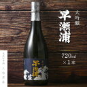 【ふるさと納税】【早瀬浦】大吟醸 720ml × 1本【入手困難 山田錦 上級酒 日本酒 地酒 福井 美浜 早瀬 フルーティ 男酒 硬水 ミネラル 希少 ご褒美 家飲み 就職祝い 転職祝い ハレの日】 [m16-a023]