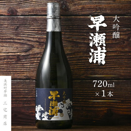 【早瀬浦】大吟醸 720ml × 1本【入手困難 山田錦 上級酒 日本酒 地酒 福井 美浜 早瀬 フルーティ 男酒 硬水 ミネラル 希少 ご褒美 家飲み 就職祝い 転職祝い ハレの日】 [m16-a023]