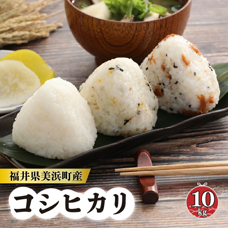 【ふるさと納税】令和6年産 新米 長谷川農園の コシヒカリ 白米 計10kg (5kg × 2袋)【お米 こしひかり 10キロ 5キロ × 2袋 精米 ブランド米 ふるさと納税米 産地直送】のサムネイル