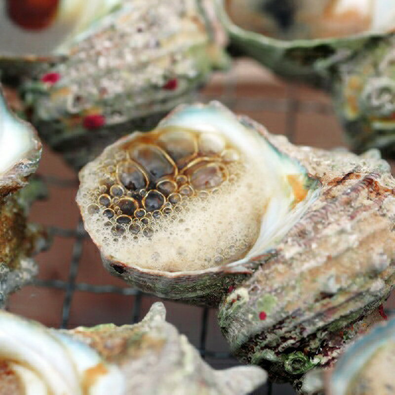 【ふるさと納税】大人気☆ 若狭湾の素潜り 天然サザエ 約8〜12個 約700g (350g × 2P) 活サザエをそのままボイルしました！【海鮮 バーベキュー BBQ サザエ さざえ 貝 海産物 刺身 お造り 海の幸 つぼ焼き 壺焼き 佃煮 砂抜き済 冷凍】お買い物マラソン 買い回り [m17-a050]