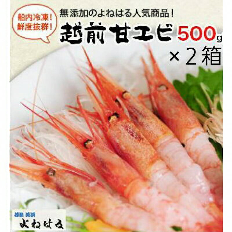 大好評!天然 越前甘エビ(卵あり)大サイズ 計約1kg(約500g × 2箱)(合計約60尾入り) 解凍方法説明書付き 船内凍結 酸化防止剤不使用! 甘エビ本来の味をお楽しみください [えび エビ 海老 甘えび 子持ち 海鮮 お刺身 おせち 無添加] [m17-c004]