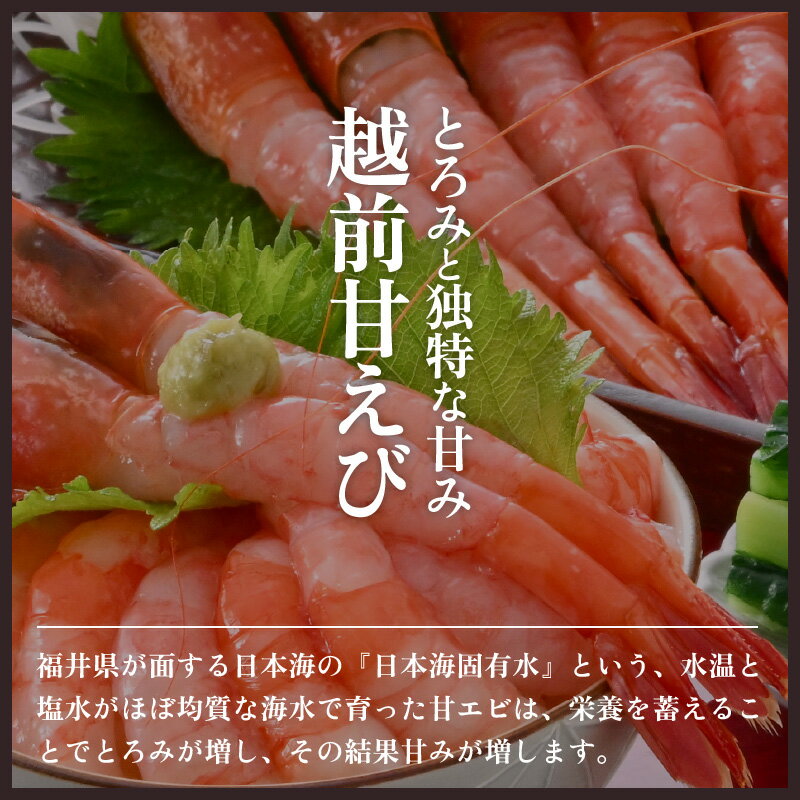 【ふるさと納税】天然！越前甘エビ (卵なし) 大サイズ 約500g × 1箱 (約30尾入り) 【選べる発送月】解凍方法説明書付き 船内凍結 酸化防止剤不使用！【えび エビ 海老 甘エビ 甘えび 海鮮 お刺身 魚介 おせち 無添加 冷凍 福井県産 】 [m17-a052]