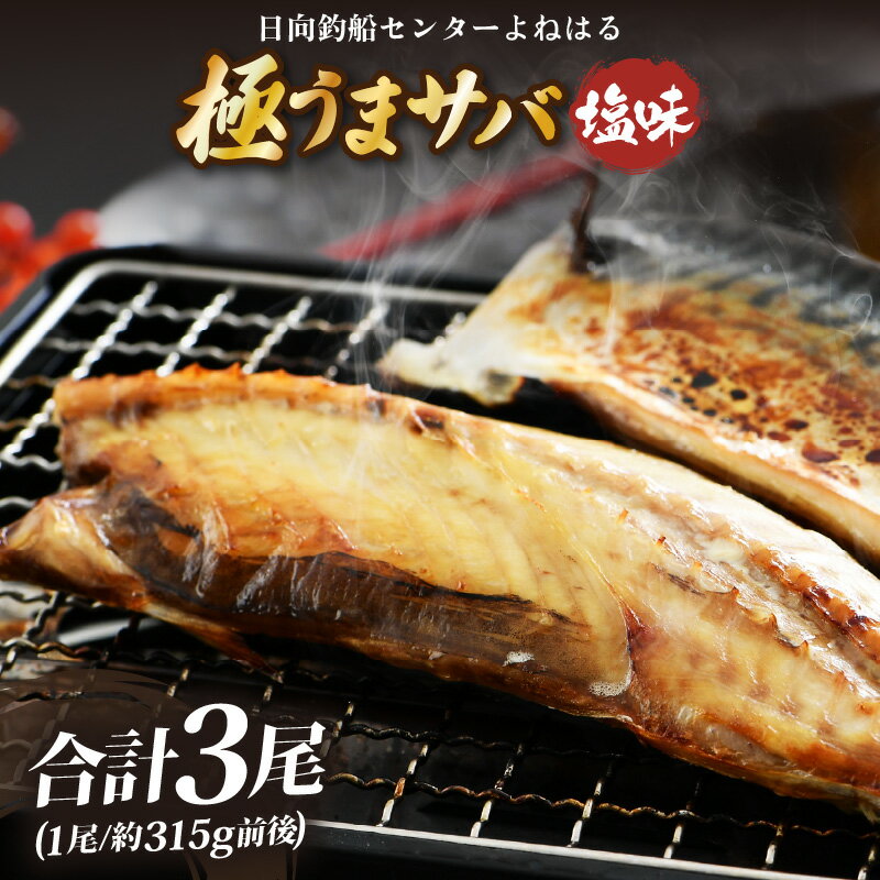 【ふるさと納税】干物 鯖一夜干し 「よねはる」お薦めの極うまサバ【塩味】1尾×3パック 合計3尾 【さば 冷凍 焼き魚 焼魚 切身 切り身 サバ フィレ 干物 小分け 個包装 真空パック ご飯のお供 酒の肴 お弁当 惣菜 】お買い物マラソン 買い回り [m17-a053]