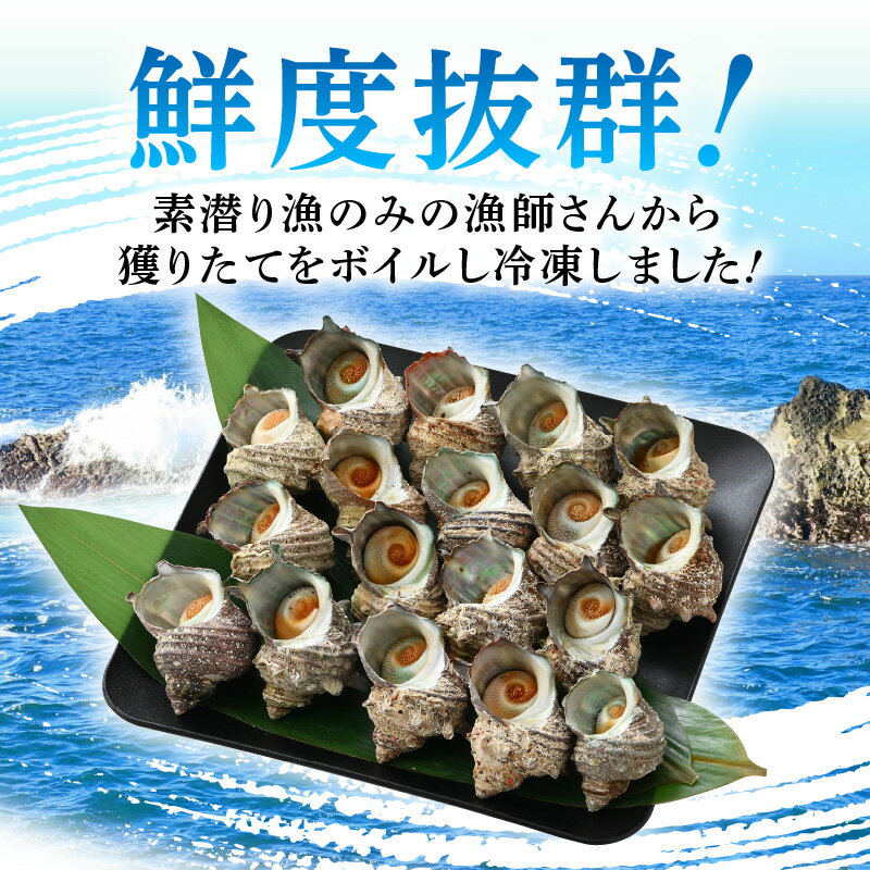 【ふるさと納税】素潜り 天然 サザエ ボイル済み 約14～18個 約800g (400g×2P)　説明書付き 若狭湾産 素潜り漁で新鮮な活サザエをボイル＆冷凍 柔らかく美味しい小振りサイズのみ厳選！ 地元で大人気！つぼ焼き BBQ バーベキュー 佃煮【配送不可地域：離島】 [m17-a039]