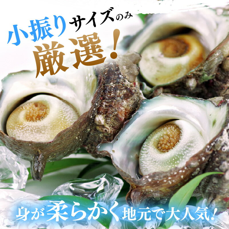 福井県美浜町の画像3