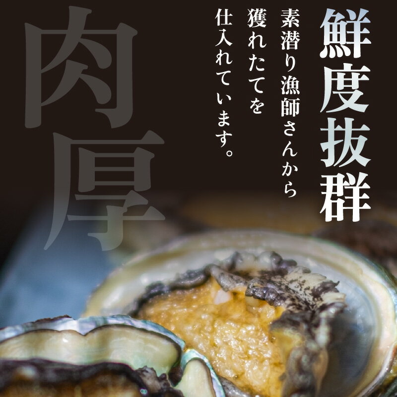 【ふるさと納税】天然 活黒アワビ 計400g（2～4個）日本海若狭湾 鮮度抜群 刺身 お造り バター焼き BBQ あわび アワビ 鮑 クロアワビ 黒あわび【2024年8月31日まで発送】 [m17-d005]