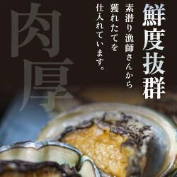 【ふるさと納税】天然 活黒アワビ 計600g (2～3個) 大サイズ 日本海若狭湾 鮮度抜群 刺身 お造り バター焼き BBQ あわび アワビ 鮑 クロアワビ 黒あわび【2024年8月31日まで発送】 [m17-g003]･･･ 画像1