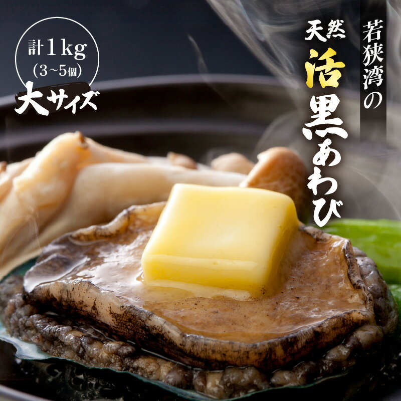 【ふるさと納税】天然 活黒アワビ 計1kg (3～5個) 大サ...