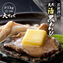 《 母の日 ギフト 》【ふるさと納税】天然 活黒アワビ 計1kg (3~5個) 大サイズ 入手困難 日本海若狭湾 鮮度抜群 刺身 お造り バター焼き BBQ あ...