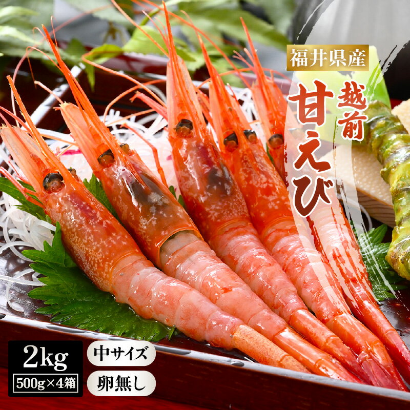 ڤդ뤵Ǽǡۡͽŷ Ť (ʤ) 極2kg (500g  4Ȣ) (140)2025ǯ7...