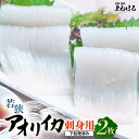 《 母の日 ギフト 》【ふるさと納税】【先行予約】数量限定 若狭アオリイカ 刺身用2枚(合計約70g)《-60℃で急速冷凍》【2025年11月中旬以降順次発送予...