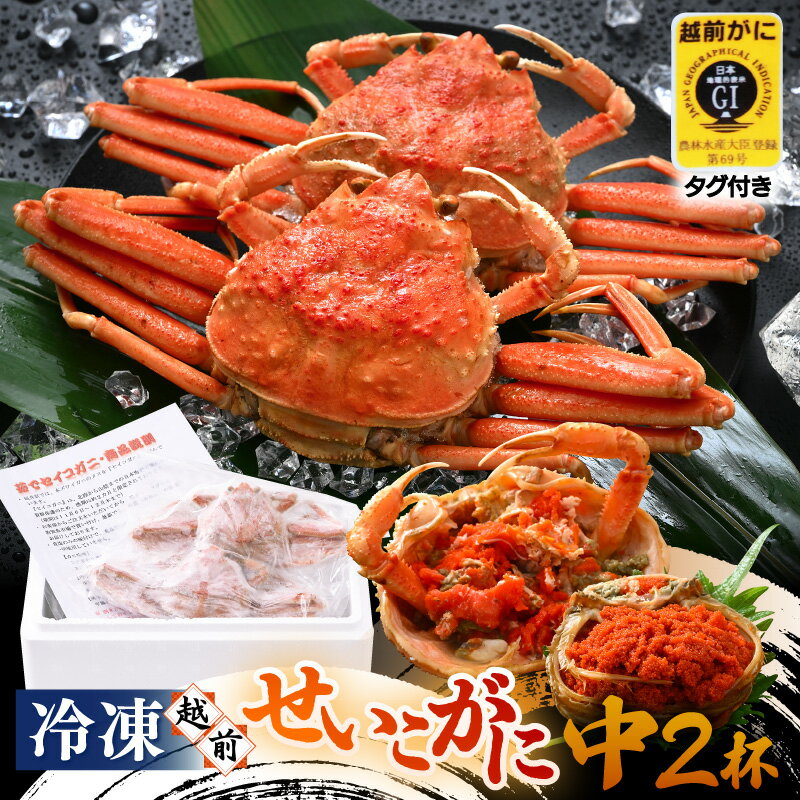 【ふるさと納税】《冷凍》獲れたて!茹でたての「越前セイコガニ中 2杯」を-60℃で急速冷凍しました!【越前がに 雌 ズワイガニ カニ 海鮮 魚介 セコガニ カニ...