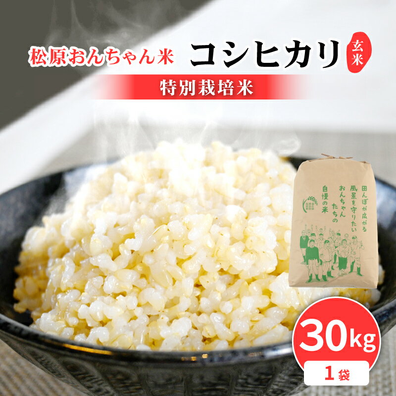 【ふるさと納税】令和4年産 松原おんちゃん米コシヒカリ 特別栽培米 玄米30kg [m26-b001]