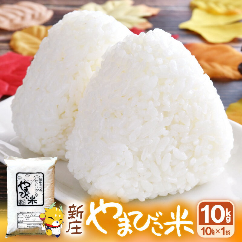 米 令和5年産 コシヒカリ 新庄やまびこ米(白米) 10kg × 1袋 [m23-a001]
